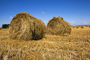 Image showing straw stack  