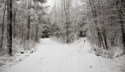 Image showing the winter road  