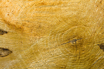 Image showing sawn wood