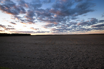Image showing sunset  