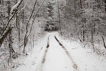 Image showing the winter road 