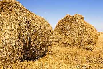 Image showing straw stack 