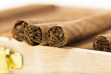 Image showing cigars  