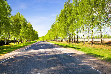 Image showing Spring road