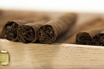 Image showing cigars in a box  