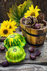 Image showing still life with autumn squash