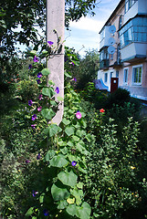 Image showing concrete pole
