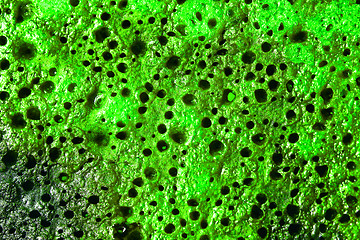 Image showing Close up of a grilled slice of bread painted in green
