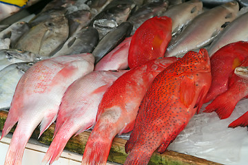 Image showing Fish market