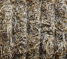 Image showing Bale of straw (background)