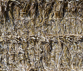 Image showing Bale of straw (background)