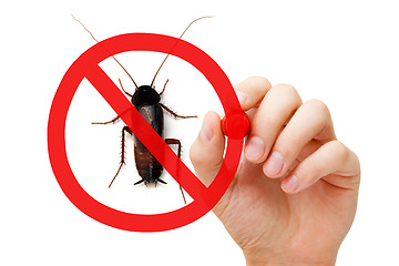 Image showing Prohibition Sign Cockroach