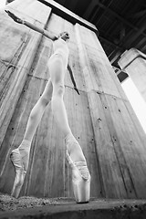 Image showing Slim ballerina 