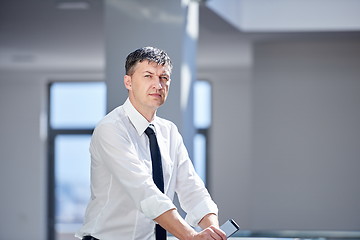 Image showing business man using phone