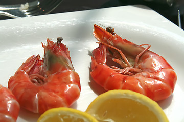 Image showing Cooked prawns