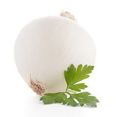 Image showing Onion and parsley 