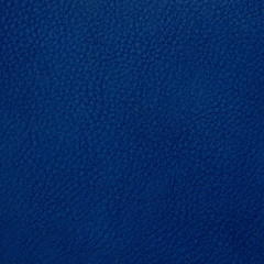 Image showing Blue leather 