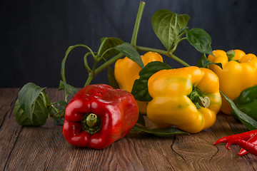 Image showing Colored bell peppers