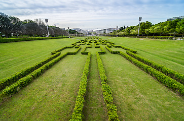 Image showing Lisbon viewed from Eduardo VII Park