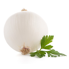 Image showing Onion and parsley 