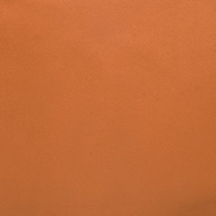 Image showing Orange leather