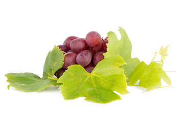 Image showing Bunch of red grapes