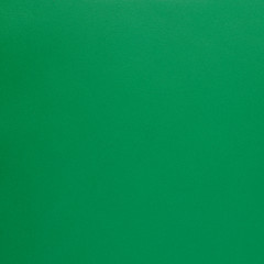 Image showing Green leather