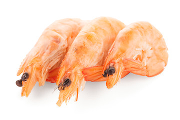 Image showing Three shrimps 