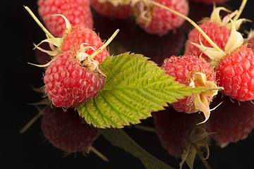 Image showing Fresh raspberries