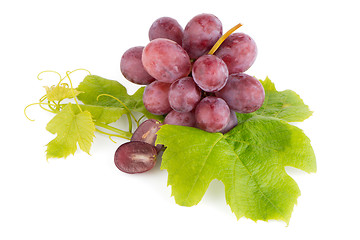 Image showing Bunch of red grapes