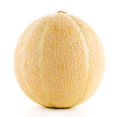 Image showing Honeydew melon