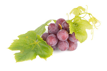 Image showing Bunch of red grapes