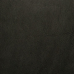 Image showing Brown leather