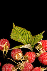 Image showing Fresh raspberries