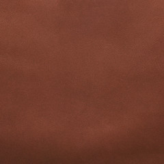 Image showing Brown leather