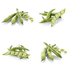 Image showing Set of green beans