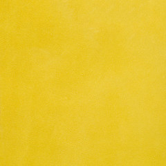 Image showing Yellow leather