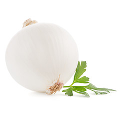 Image showing Onion and parsley 