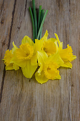 Image showing Jonquil flowers