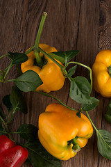 Image showing Colored bell peppers