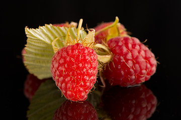 Image showing Fresh raspberries