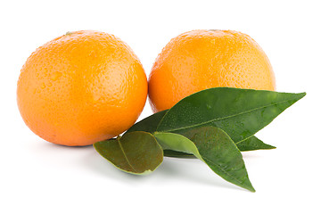 Image showing Ripe tangerine or mandarin