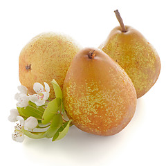 Image showing Three ripe pears