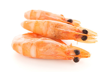 Image showing Three shrimps 