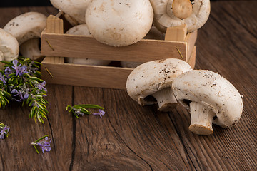 Image showing Champignons in a wooden box