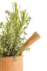 Image showing Green herb leafs 