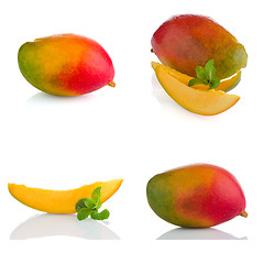 Image showing Set of mango fruit