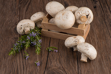 Image showing Champignons in a wooden box