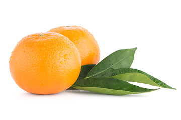 Image showing Ripe tangerine or mandarin