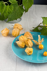 Image showing Physalis fruits